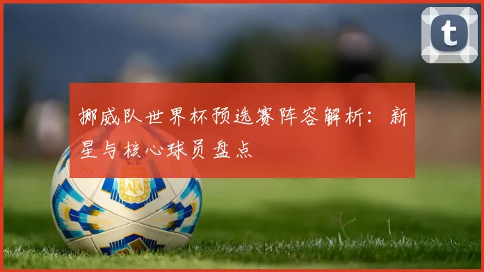 挪威队世界杯预选赛阵容解析：新星与核心球员盘点