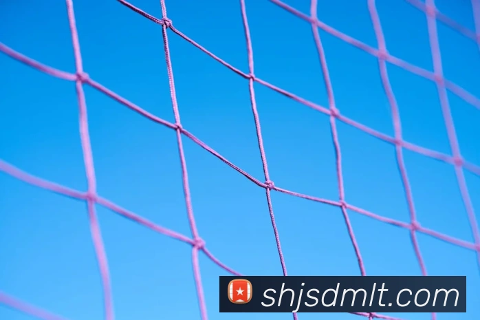 爱体育电子官方网站全站App